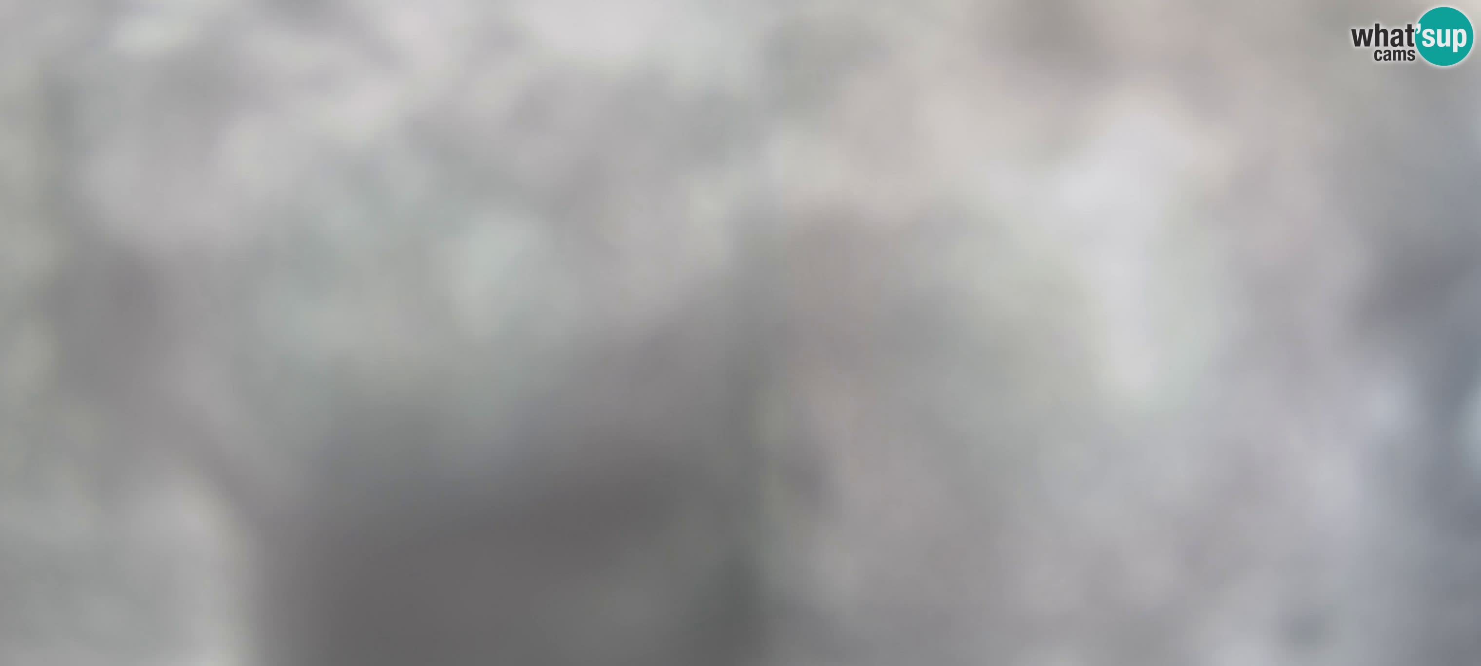 Web kamera Gitschlift / žičara Gitsch – Gornja stanica (2.512 m)