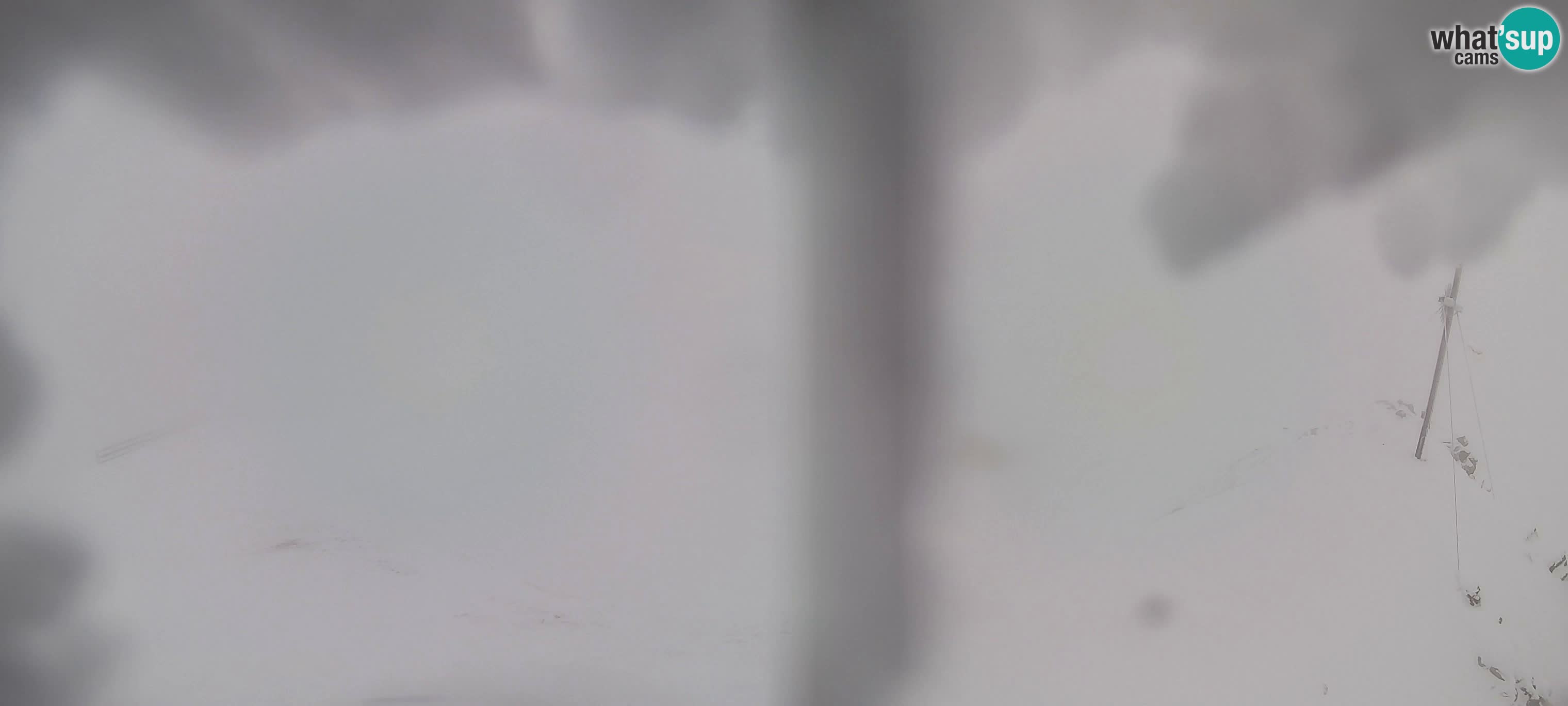 Webcam Gitschlift / Sessellift Gitsch – Bergstation (2.512 m)