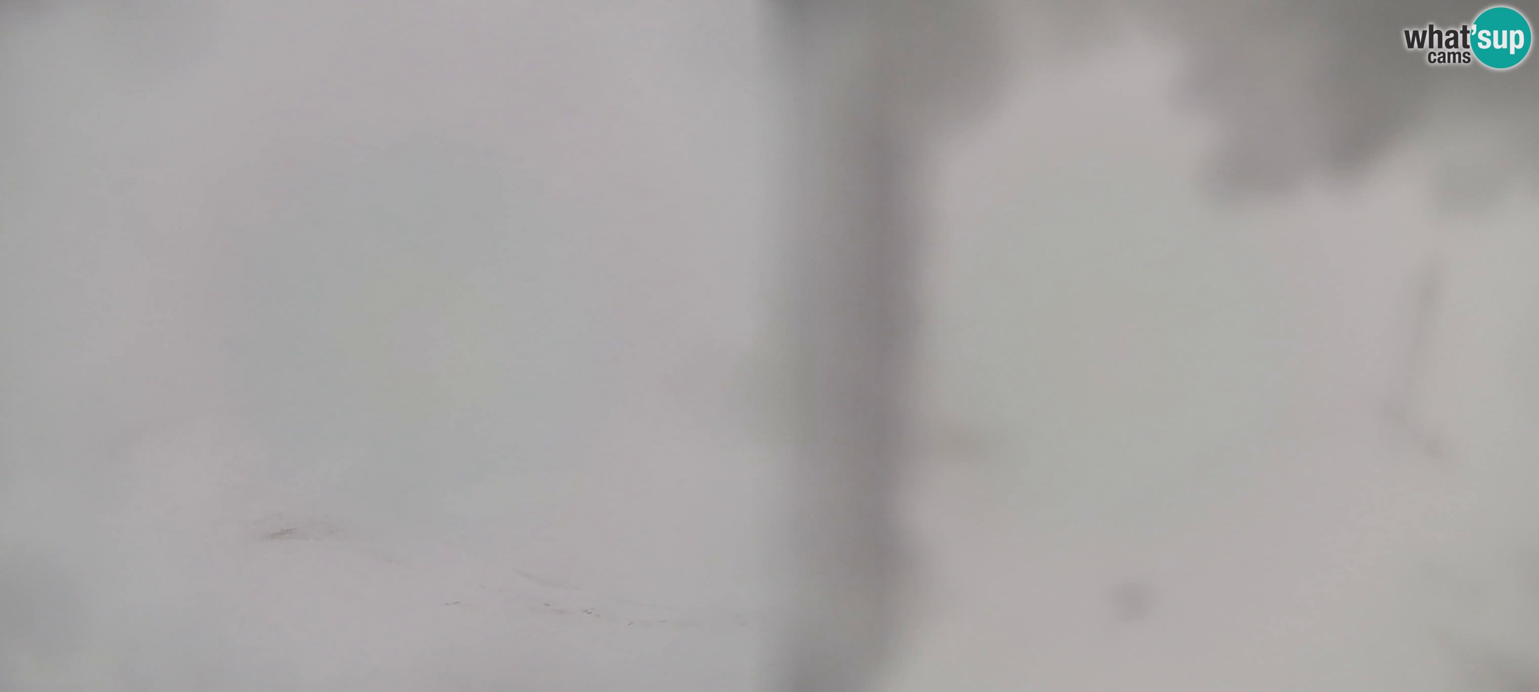 Webcam Gitschlift / Sessellift Gitsch – Bergstation (2.512 m)