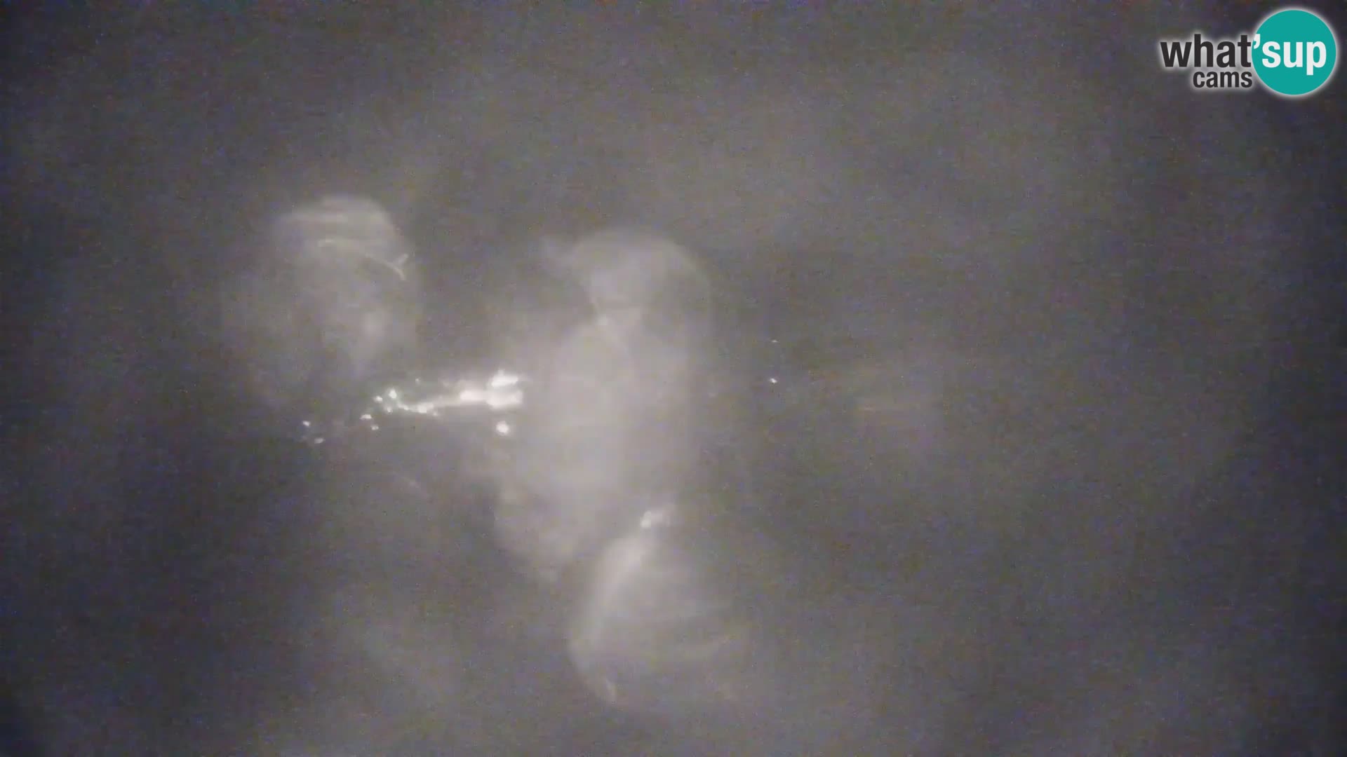 Webcam Terenten (1210m) – Live View of Val Pusteria