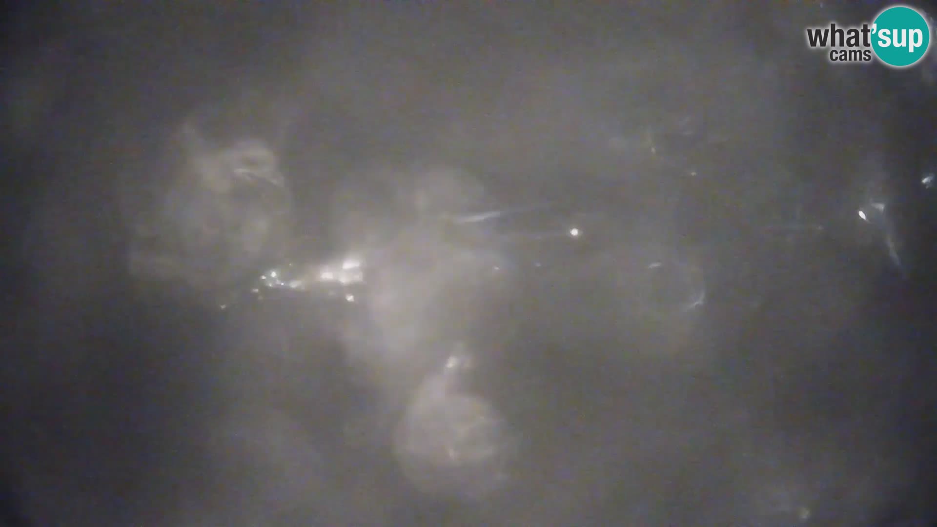 Webcam Terenten (1210m) – Vista en vivo del Valle de Pusteria