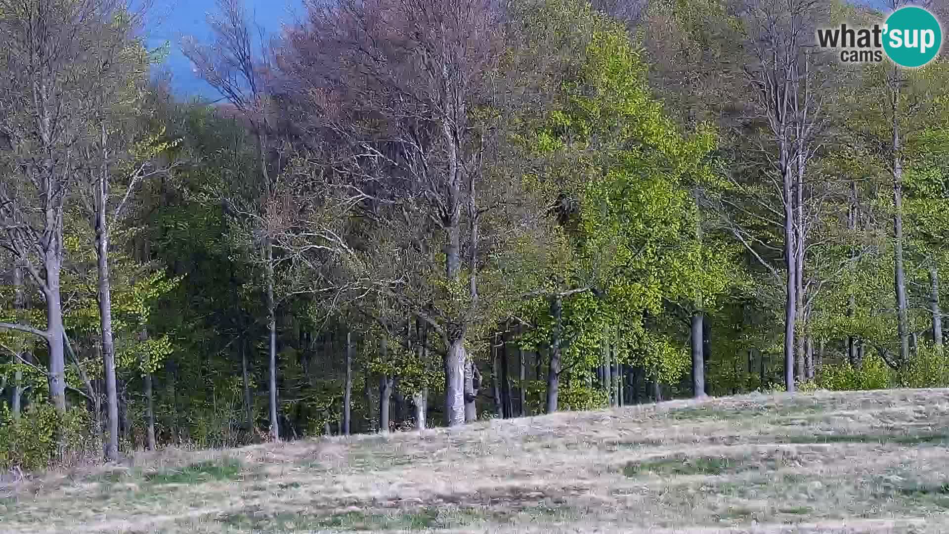 Webcam Mont Alpet – Roburent- Cuneto