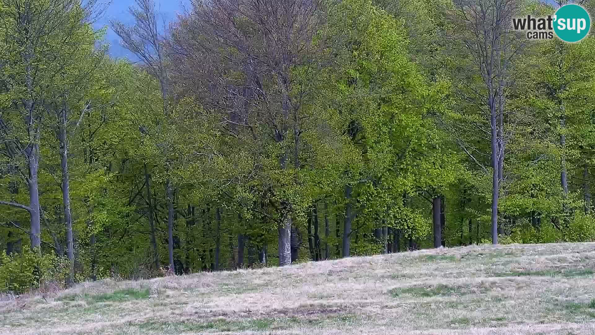 LIVE Webcam Mont Alpet – Roburent – Cuneo