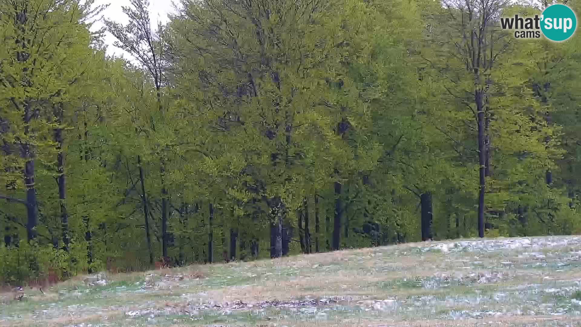 Live Webcam Monte Alpet – Roburent – Cuneo