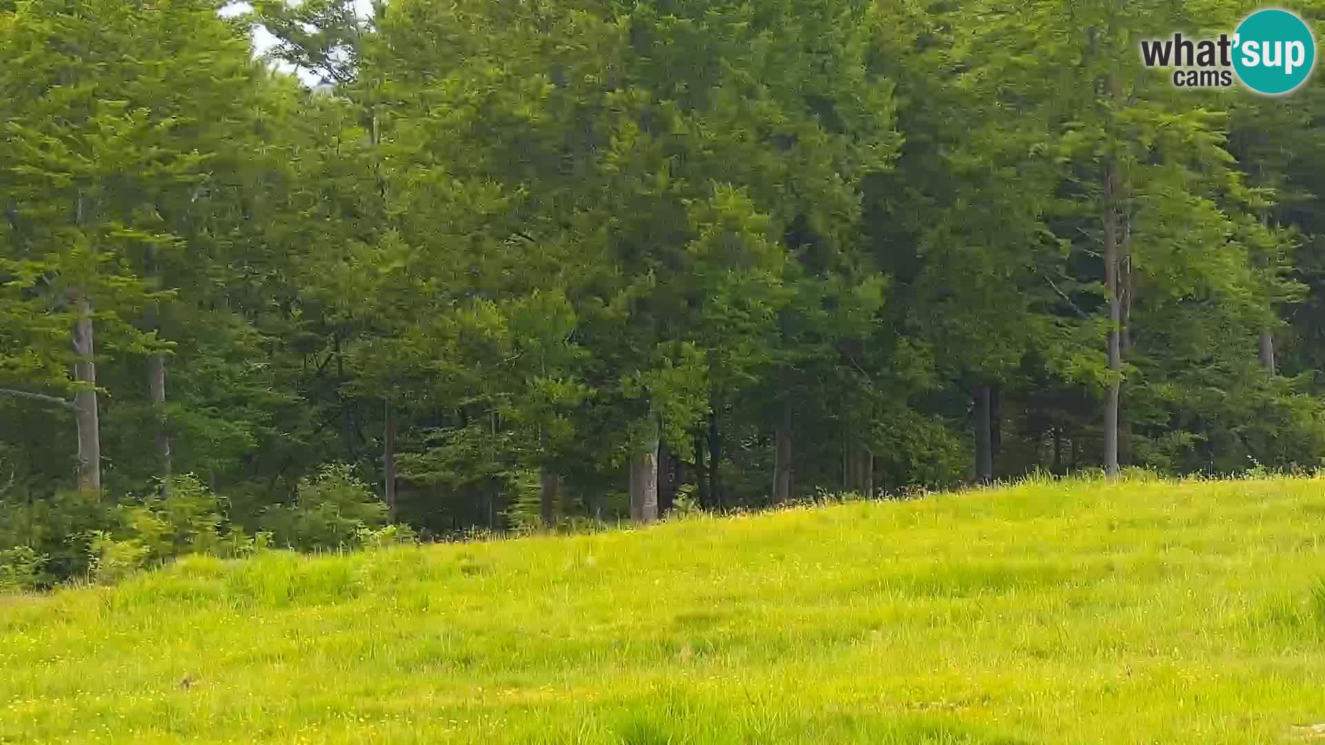 Camera en vivo Mont Alpet – Roburent – Cuneo