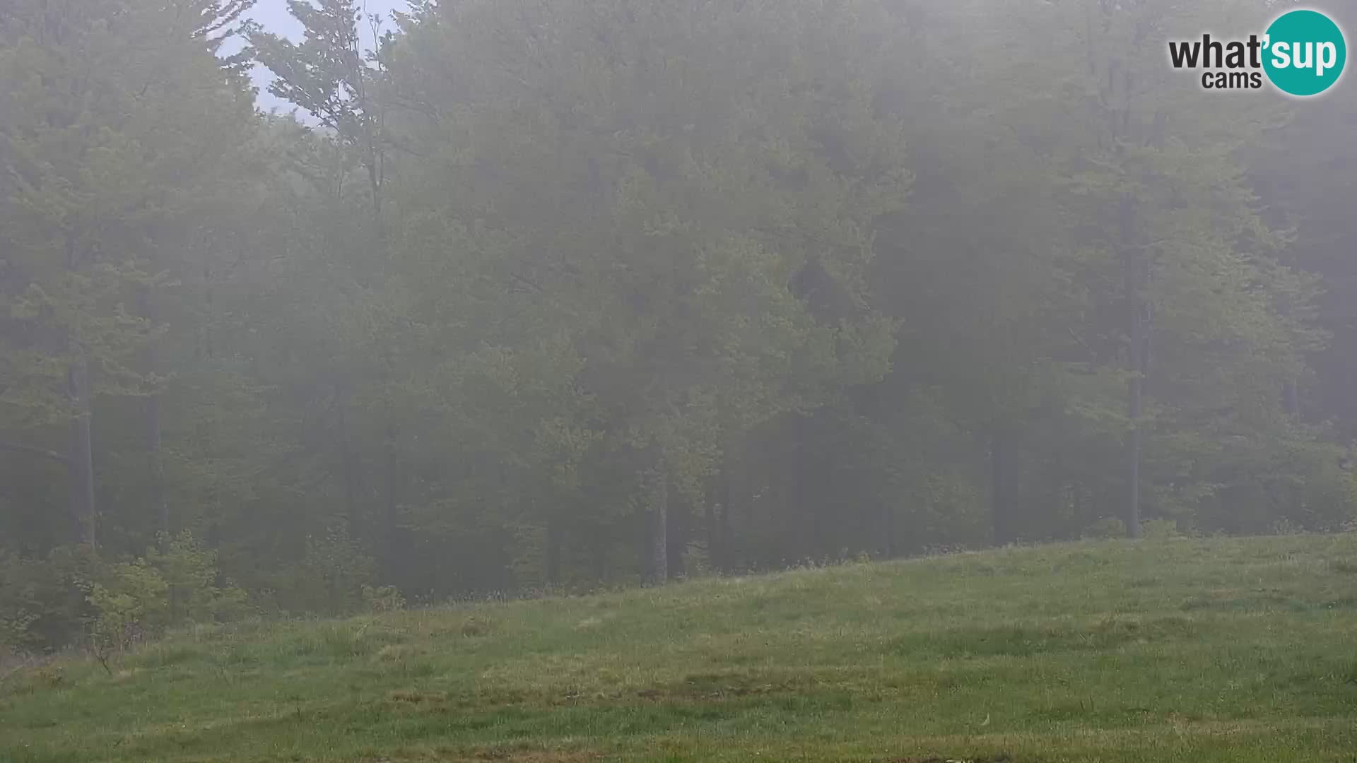 Live Webcam Monte Alpet – Roburent – Cuneo
