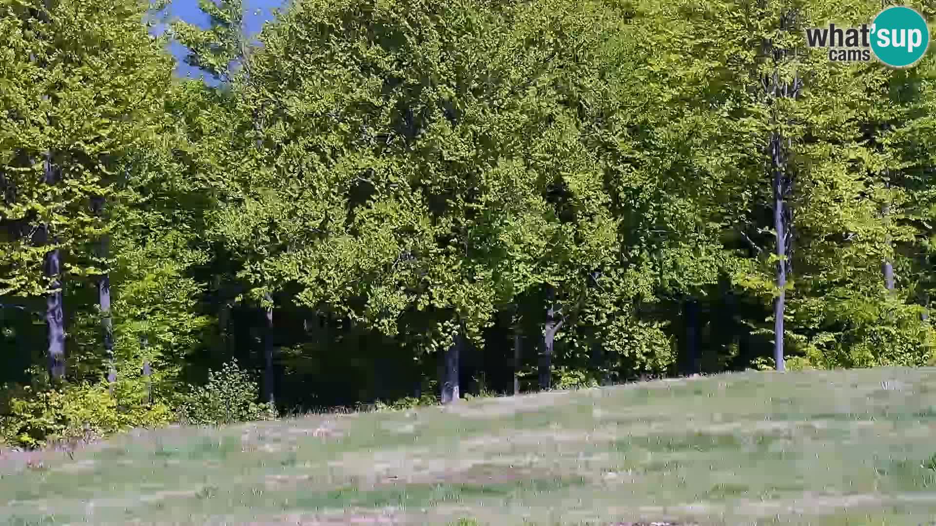 Camera en vivo Mont Alpet – Roburent – Cuneo