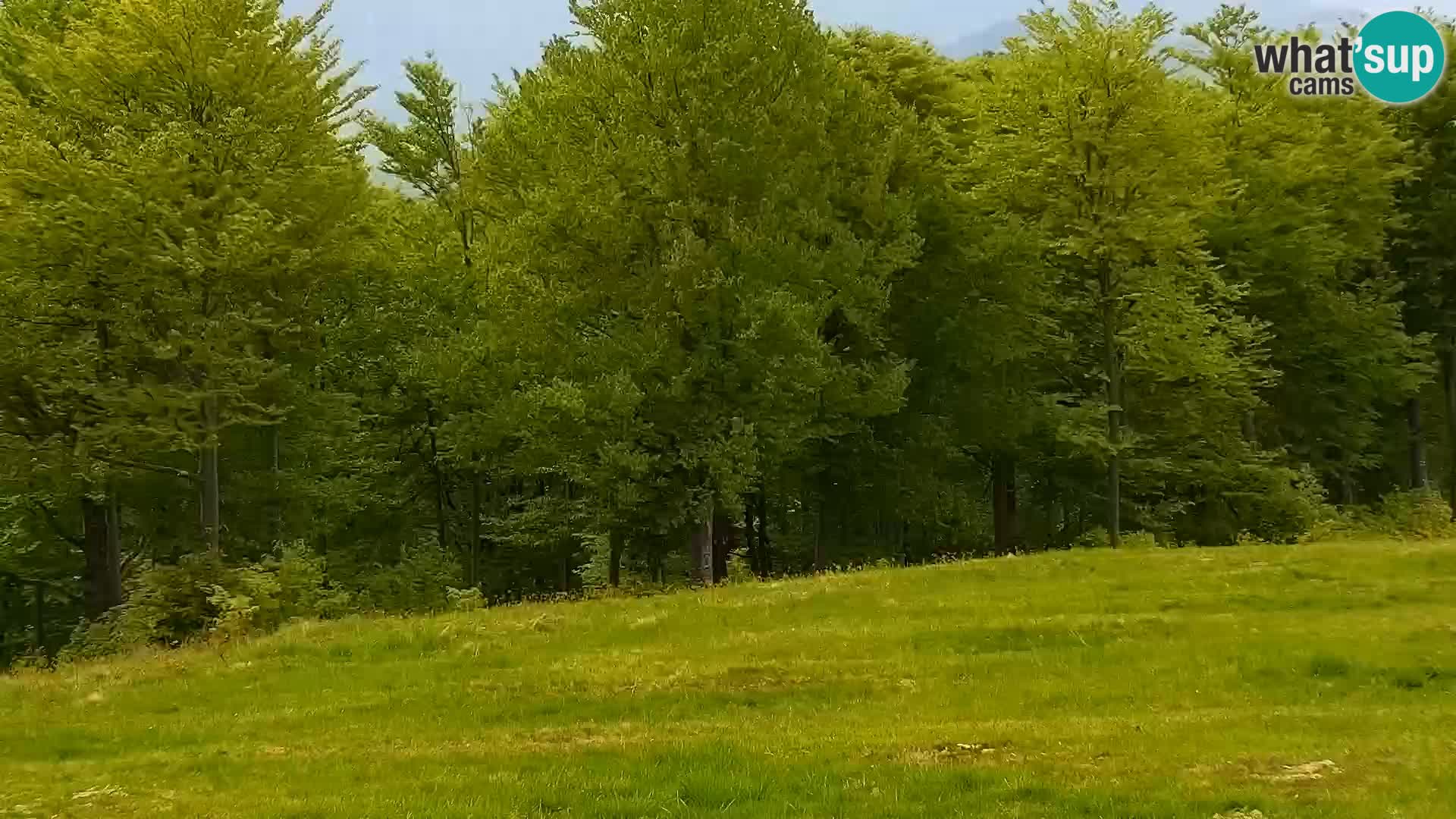 Spletna kamera Mont Alpet – Roburent – Cuneo