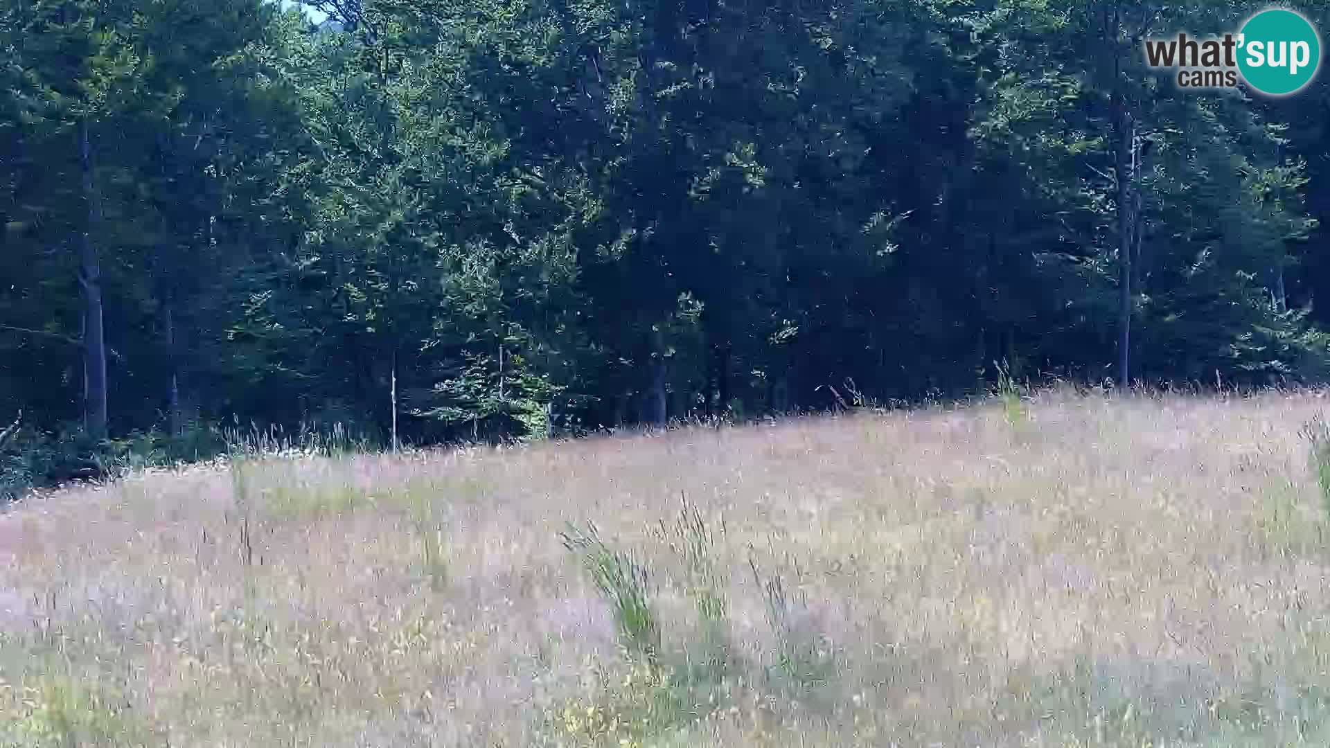 Live Webcam Monte Alpet – Roburent – Cuneo
