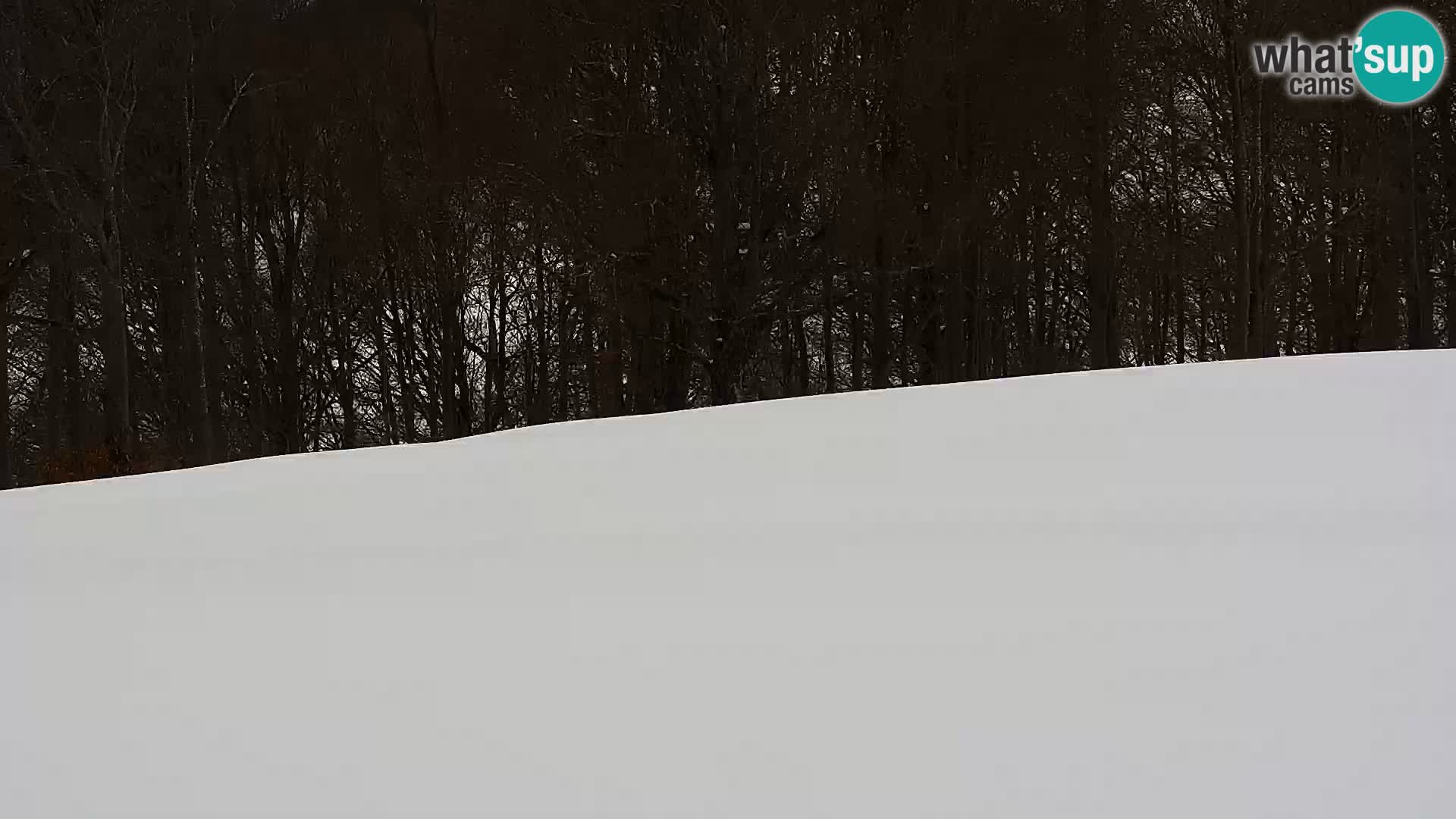 Spletna kamera Mont Alpet – Roburent – Cuneo