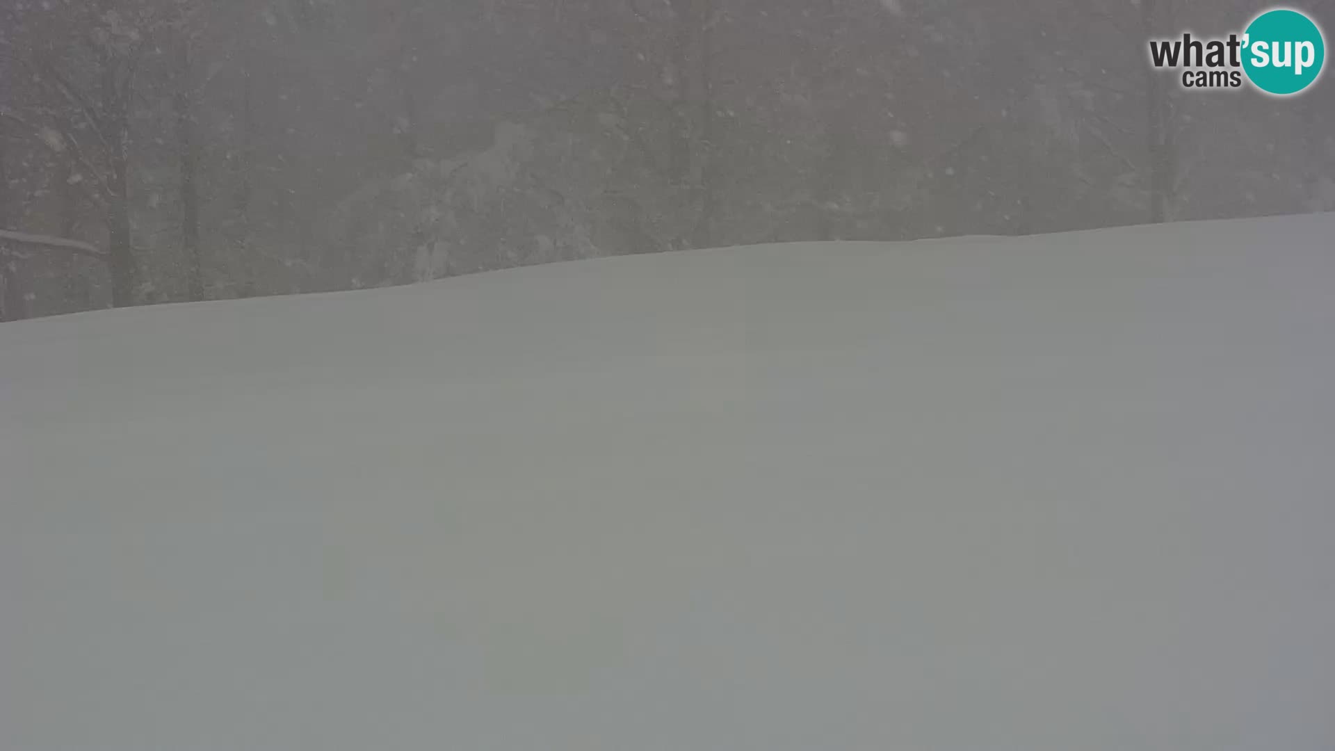 Live Webcam Monte Alpet – Roburent – Cuneo