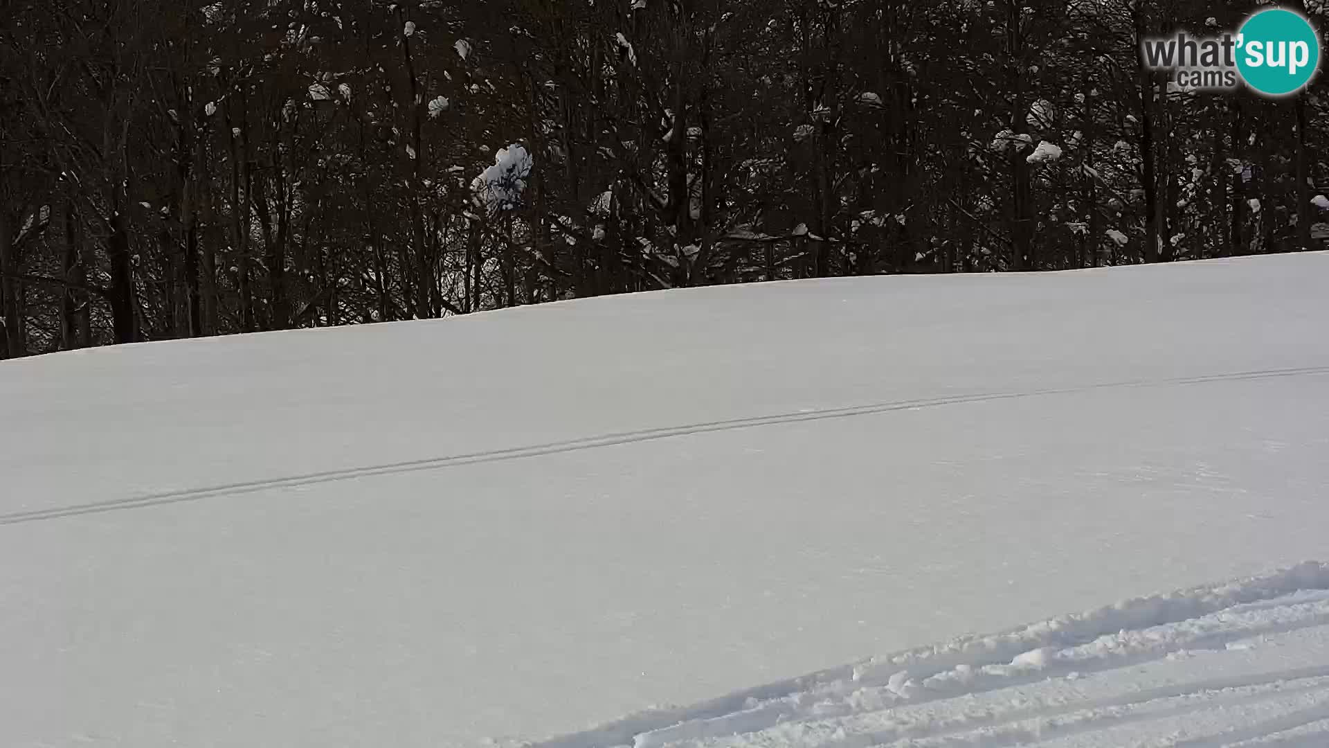 Web kamera Mont Alpet – Roburent – Cuneo