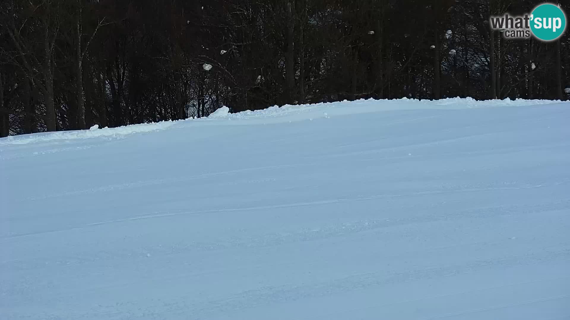 Live Webcam Monte Alpet – Roburent – Cuneo