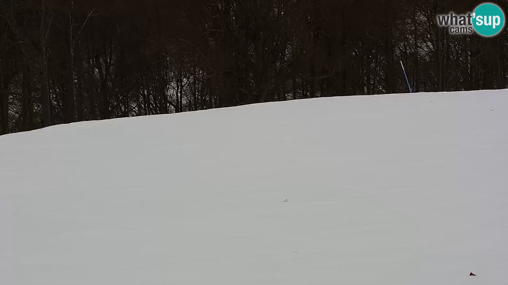 Live Webcam Monte Alpet – Roburent – Cuneo