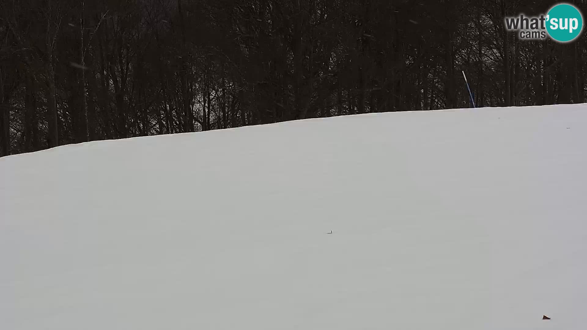 Live Webcam Monte Alpet – Roburent – Cuneo