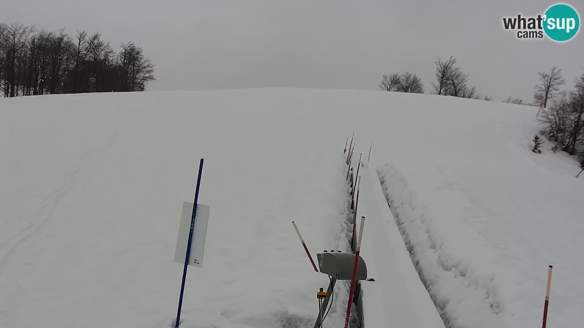 Live Webcam Monte Alpet – Roburent – Cuneo