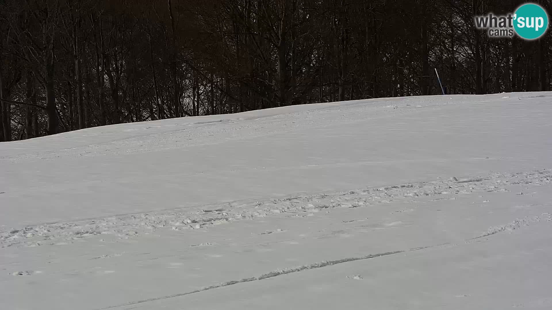 Webcam Mont Alpet – Roburent- Cuneto