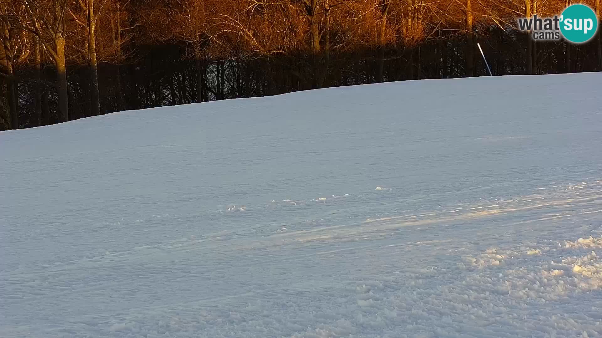 LIVE Webcam Mont Alpet – Roburent – Cuneo