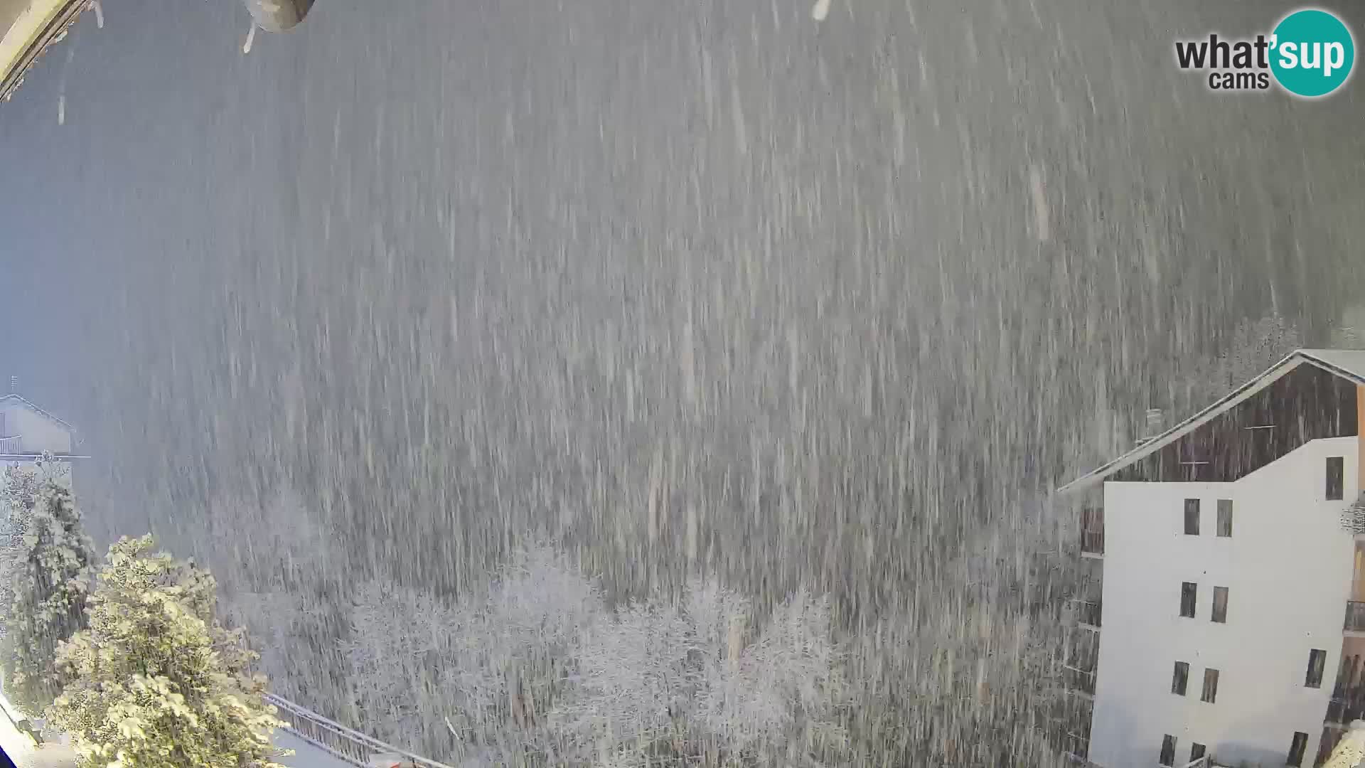 Cardini di Roburent – pogled na Monte Alpet