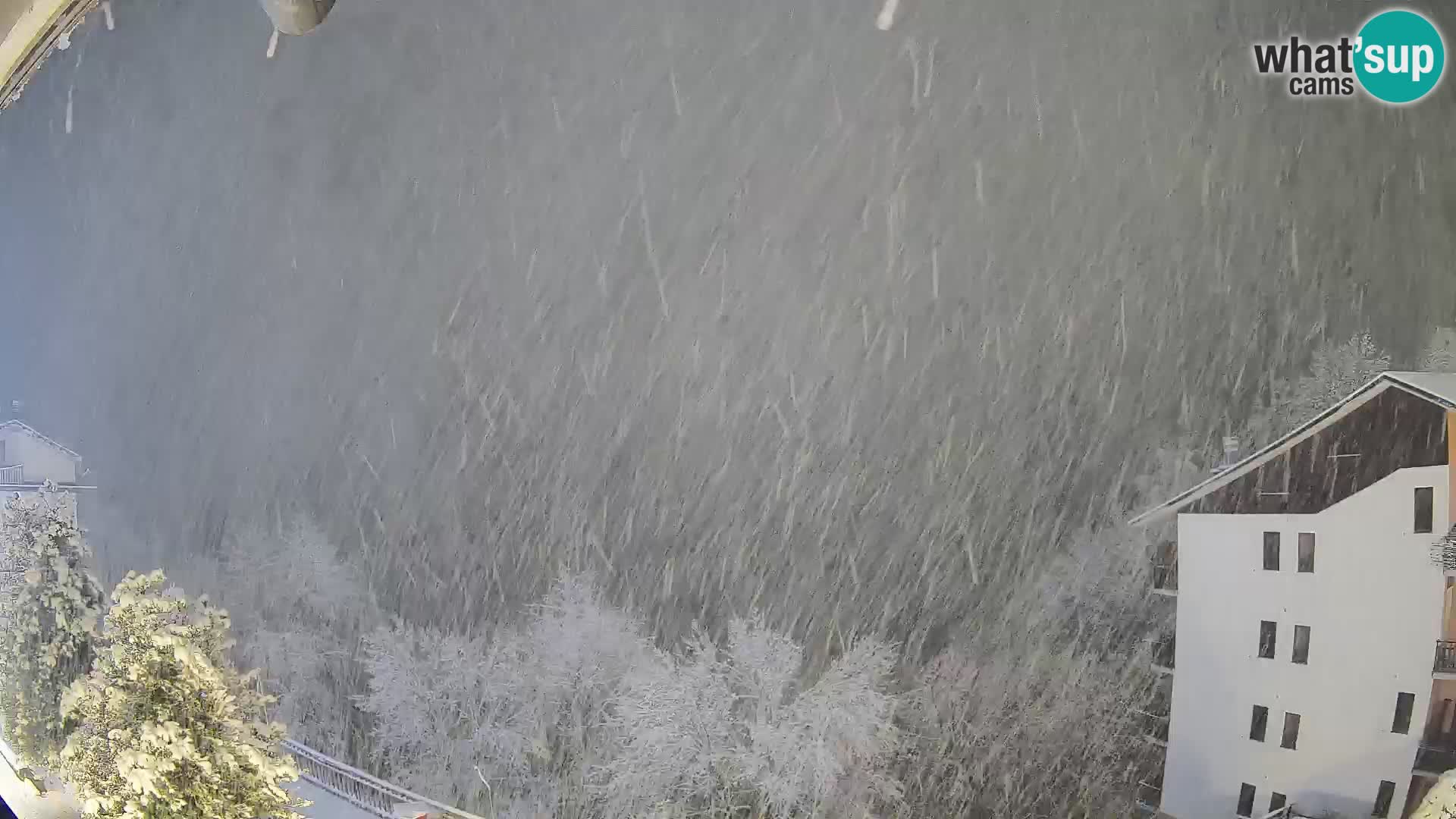 Cardini di Roburent – Vista su Monte Alpet