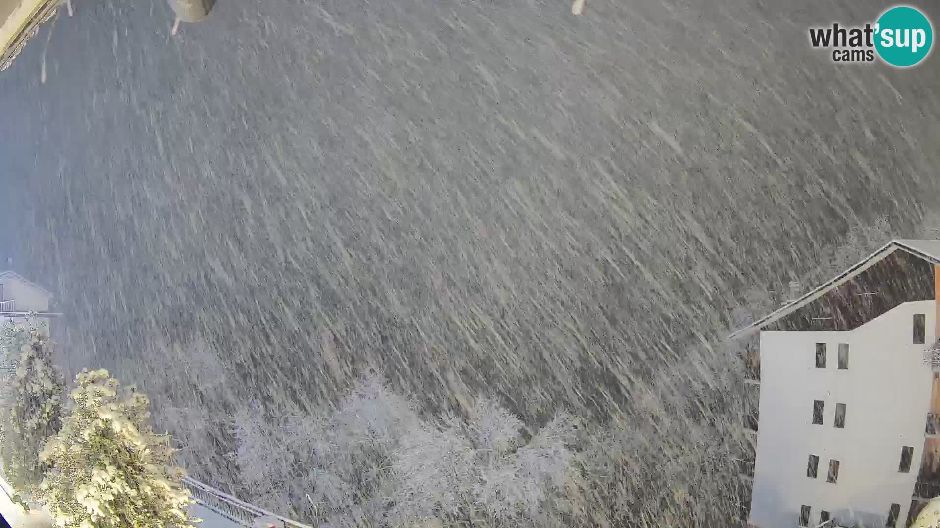 Cardini di Roburent – Vista su Monte Alpet