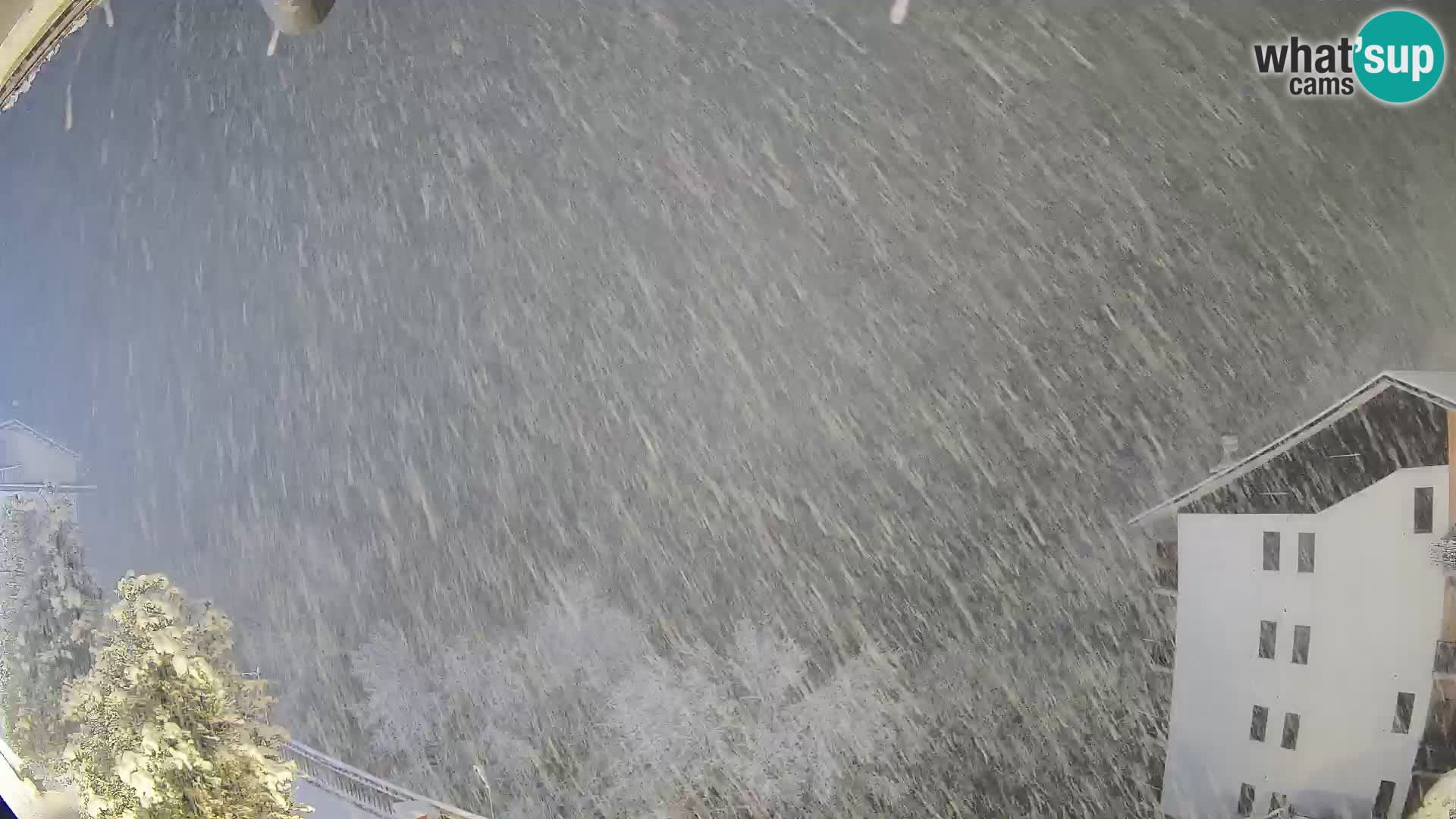 Cardini di Roburent – vista al Monte Alpet