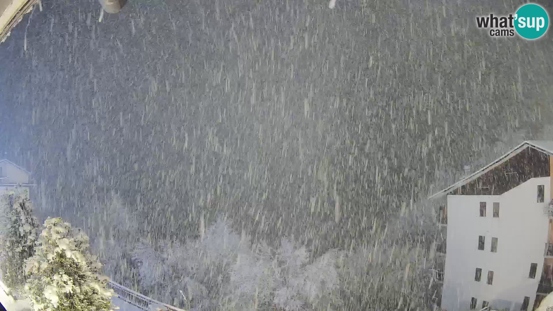 Cardini di Roburent – Vista su Monte Alpet