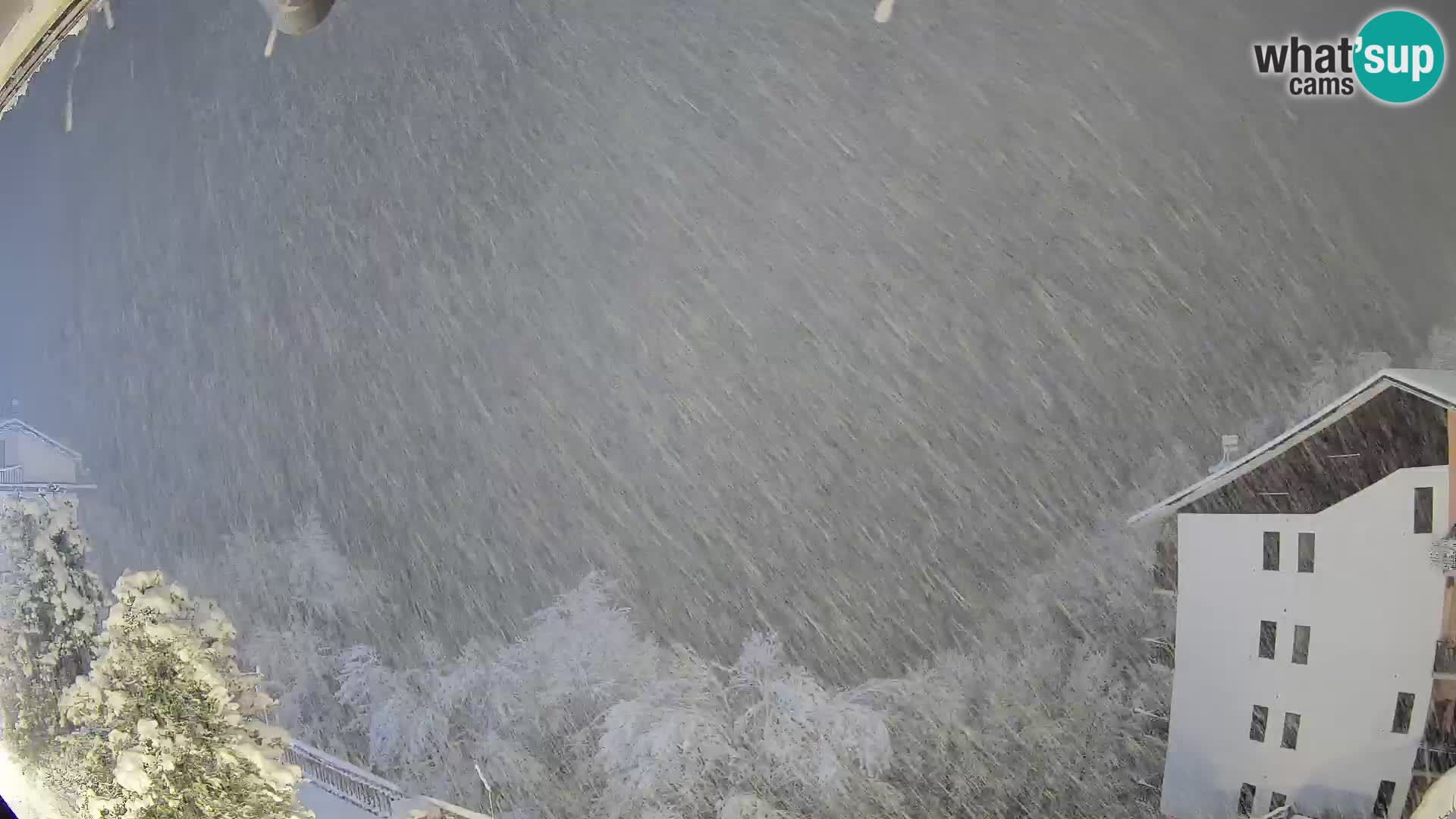 Cardini di Roburent – vista al Monte Alpet