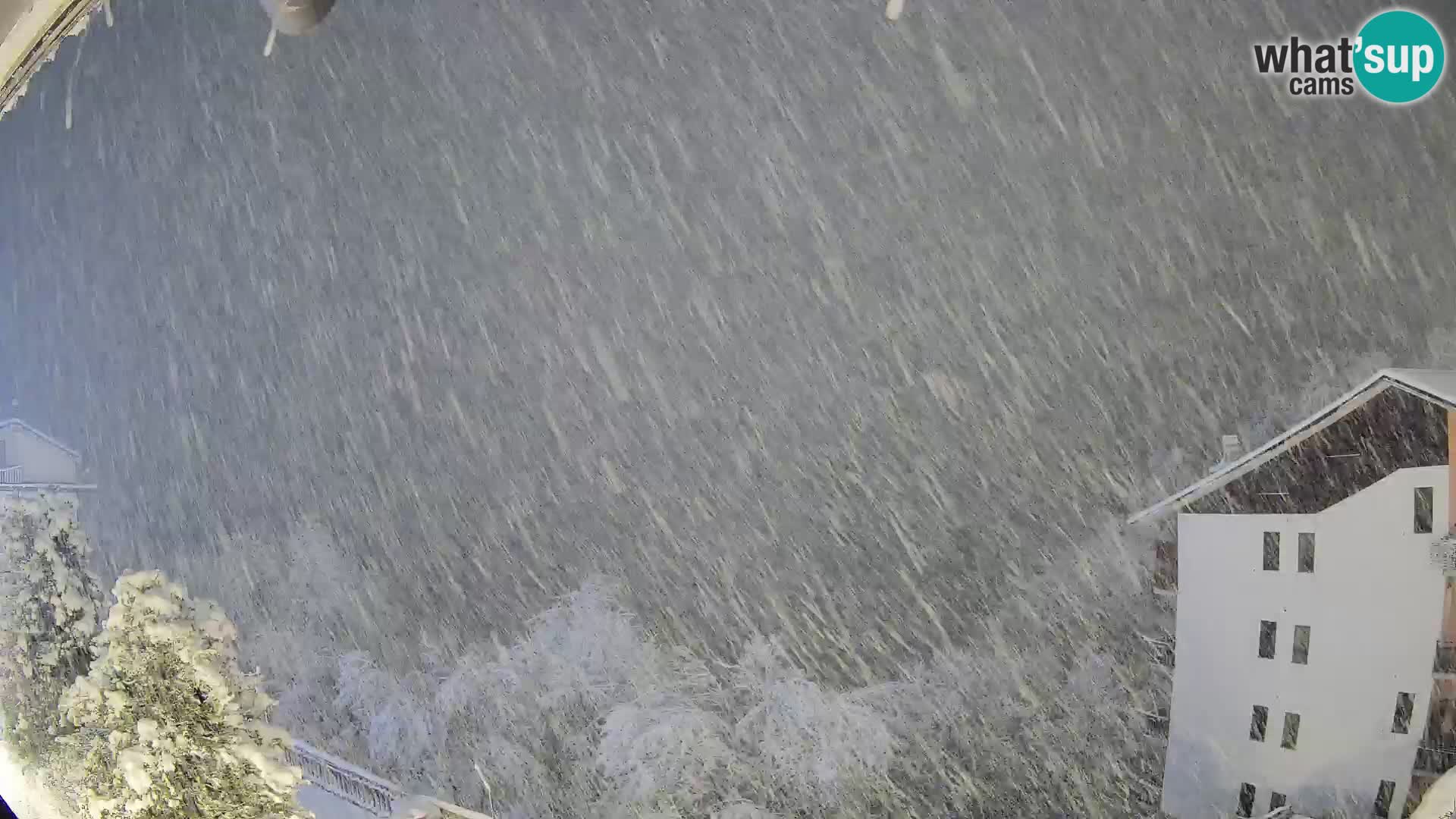 Cardini di Roburent – vista al Monte Alpet