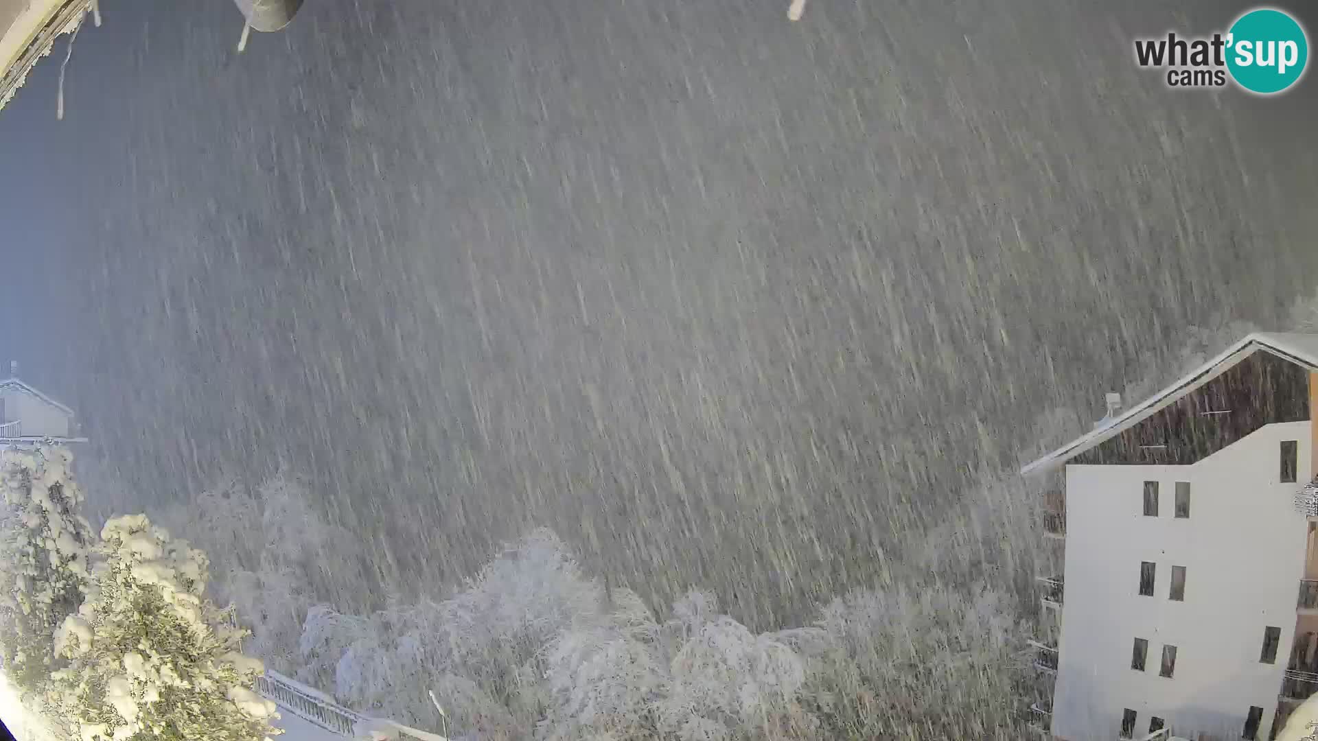 Cardini di Roburent – Vista su Monte Alpet