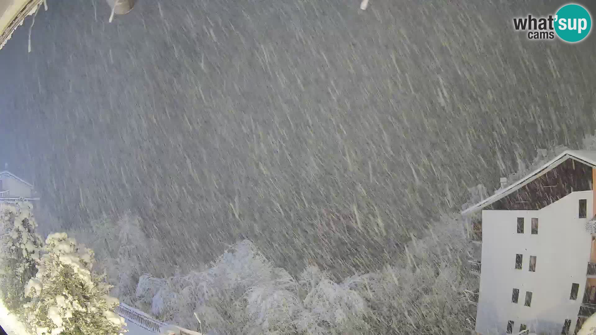 Cardini di Roburent – pogled na Monte Alpet