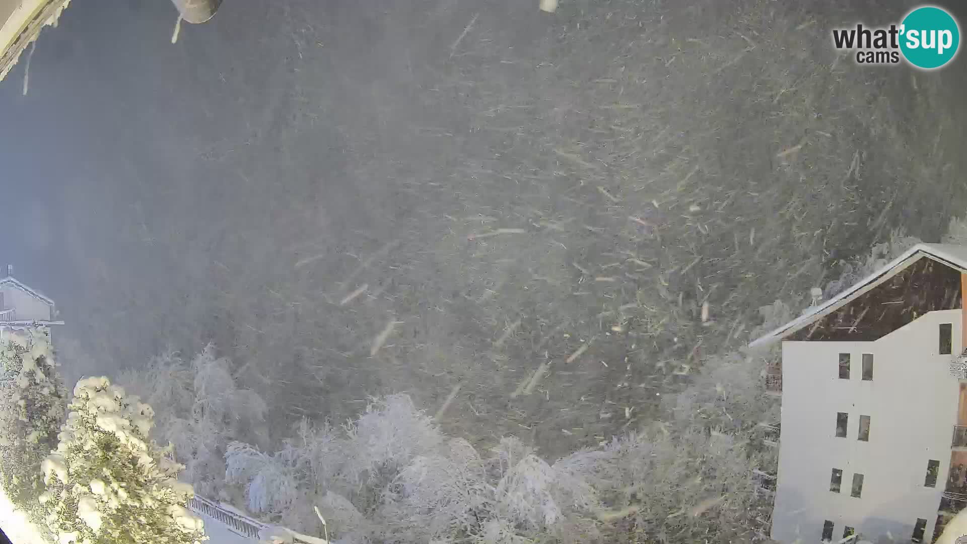 Cardini di Roburent – pogled na Monte Alpet