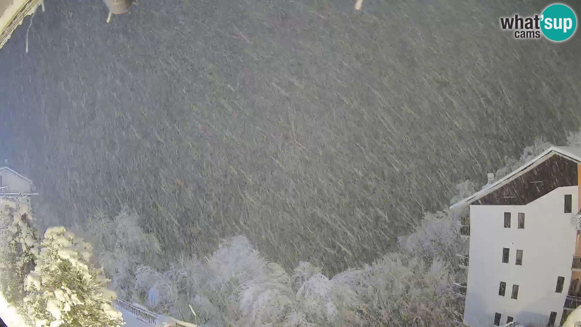 Cardini di Roburent – Vista su Monte Alpet