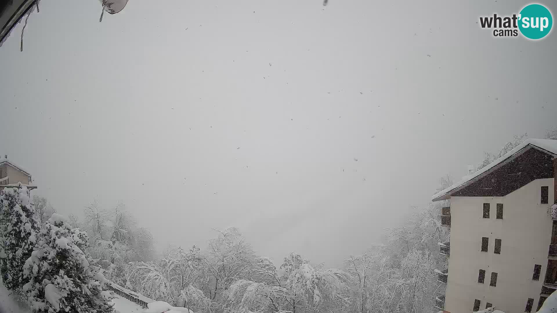 Cardini di Roburent – Vista su Monte Alpet