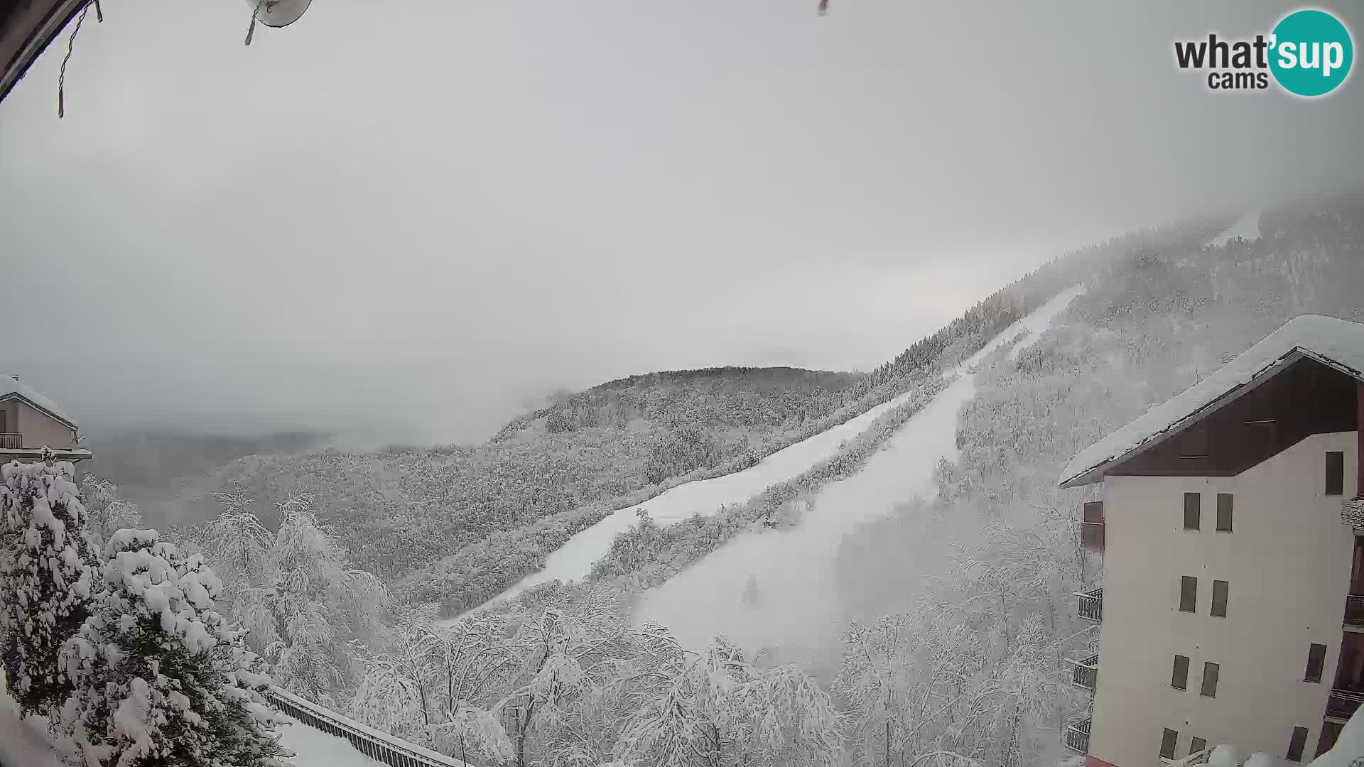 Cardini di Roburent – Vista su Monte Alpet