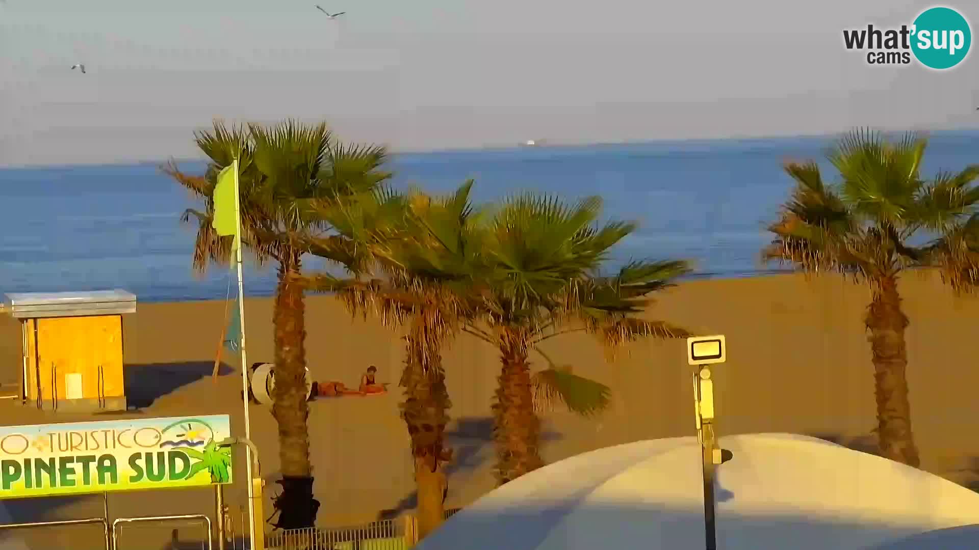Resort Rosapineta Sud – camera