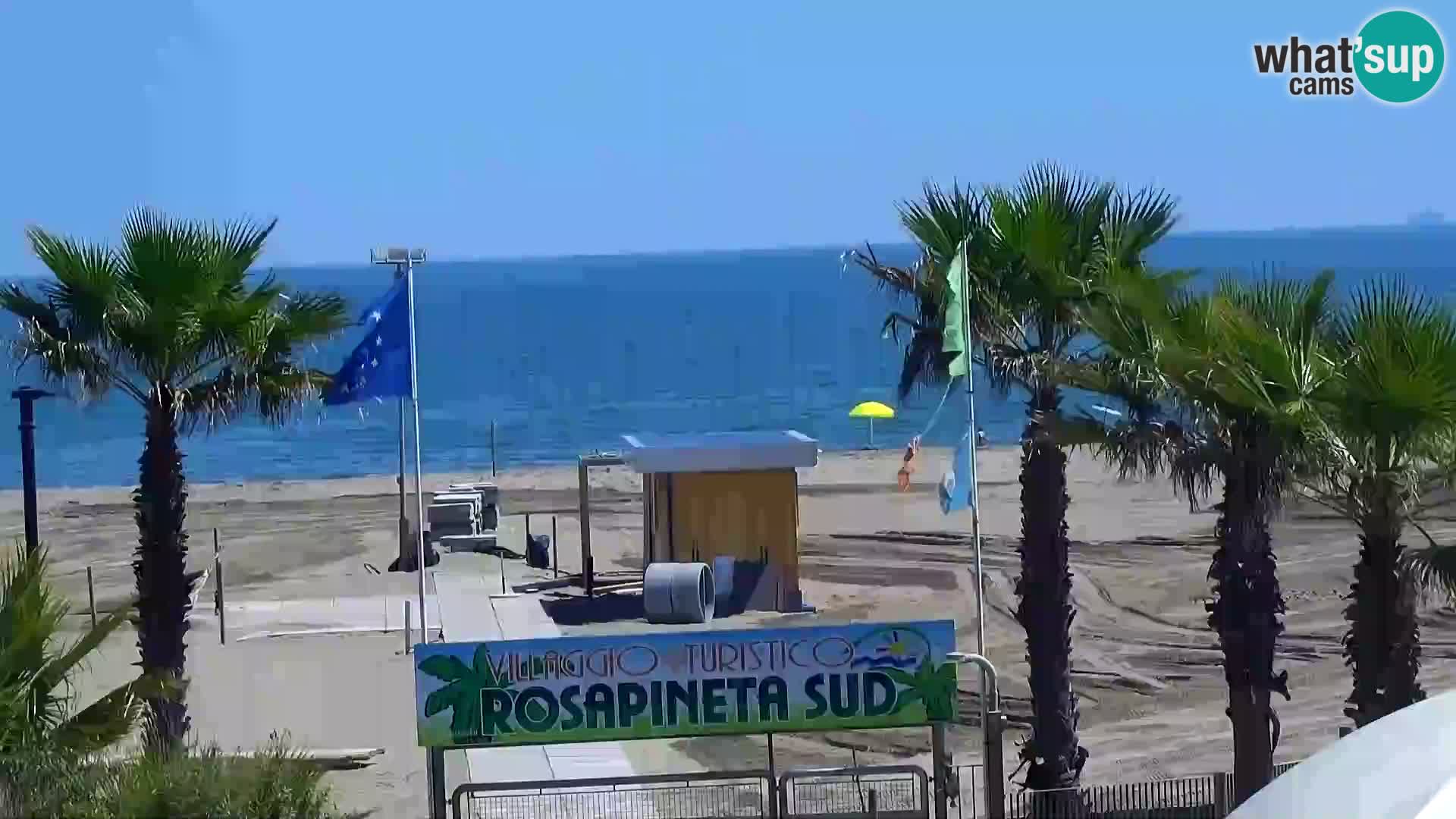 Plaza kod Rosapineta sud