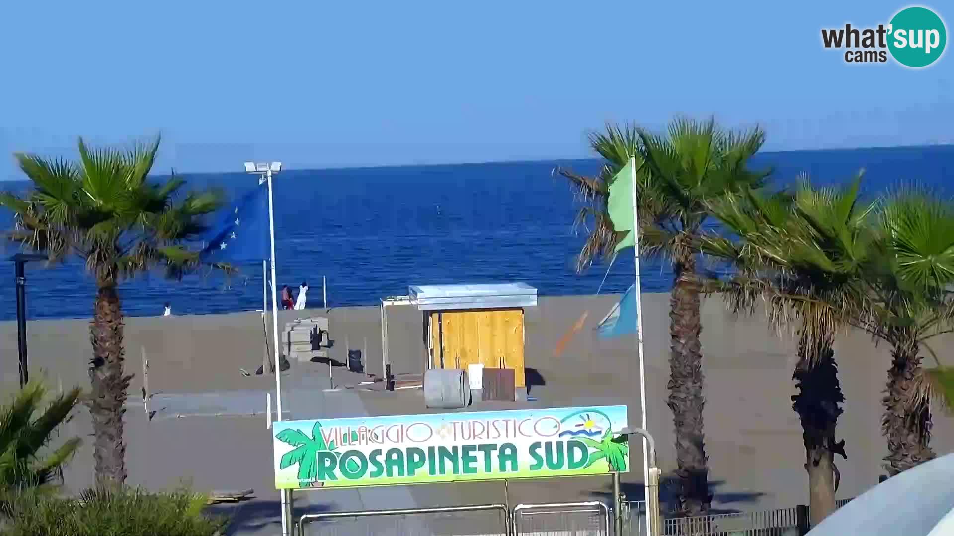 Resort Rosapineta Sud – camera