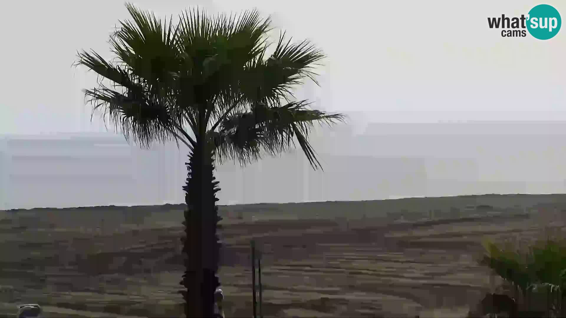 Villaggio turistico Rosapineta Sud – live webcam