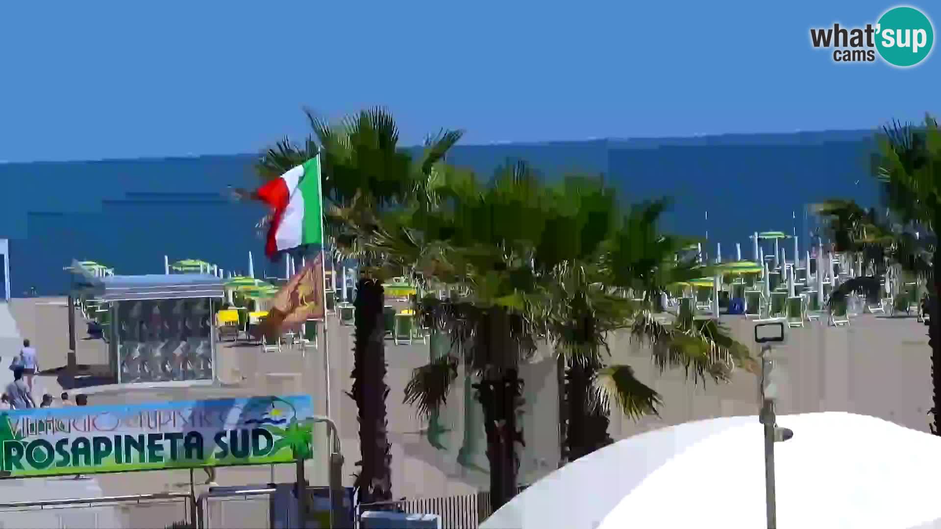 Plaza kod Rosapineta sud