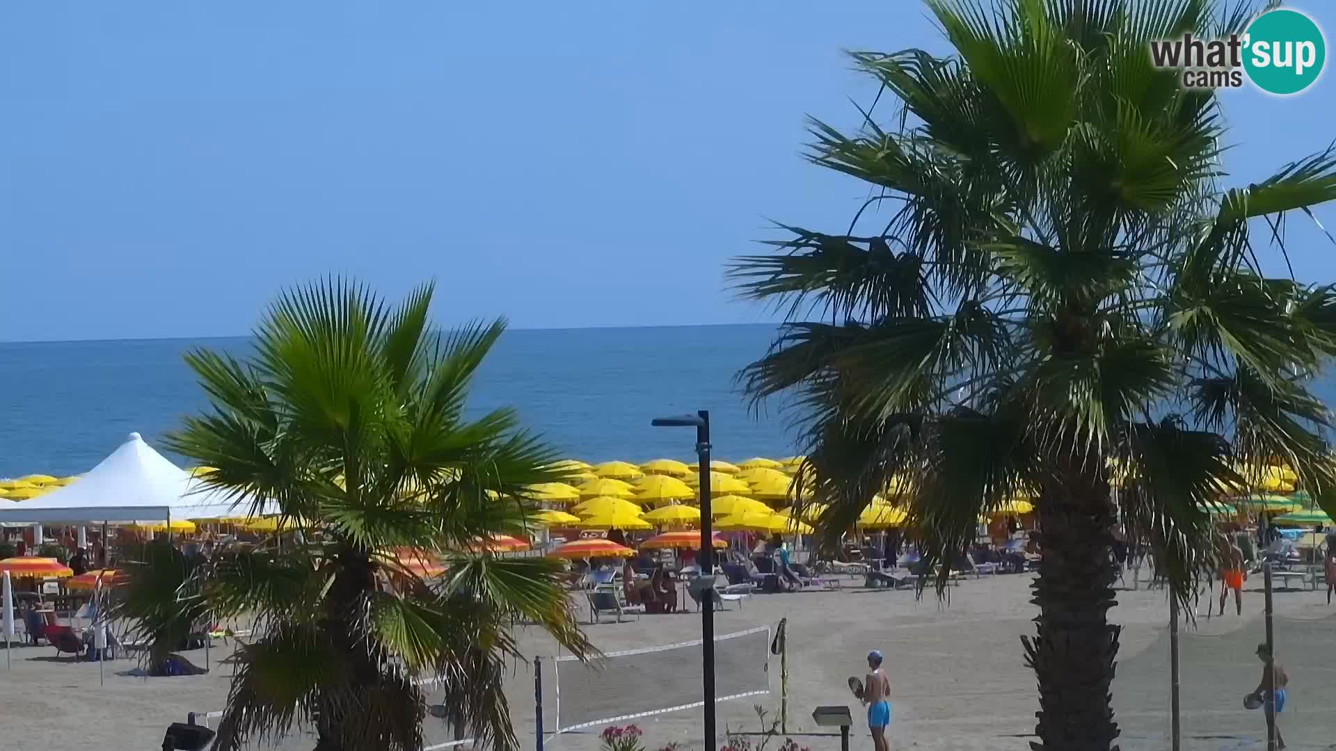Plaza kod Rosapineta sud