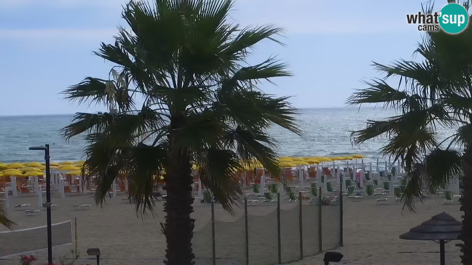 Plaza kod Rosapineta sud