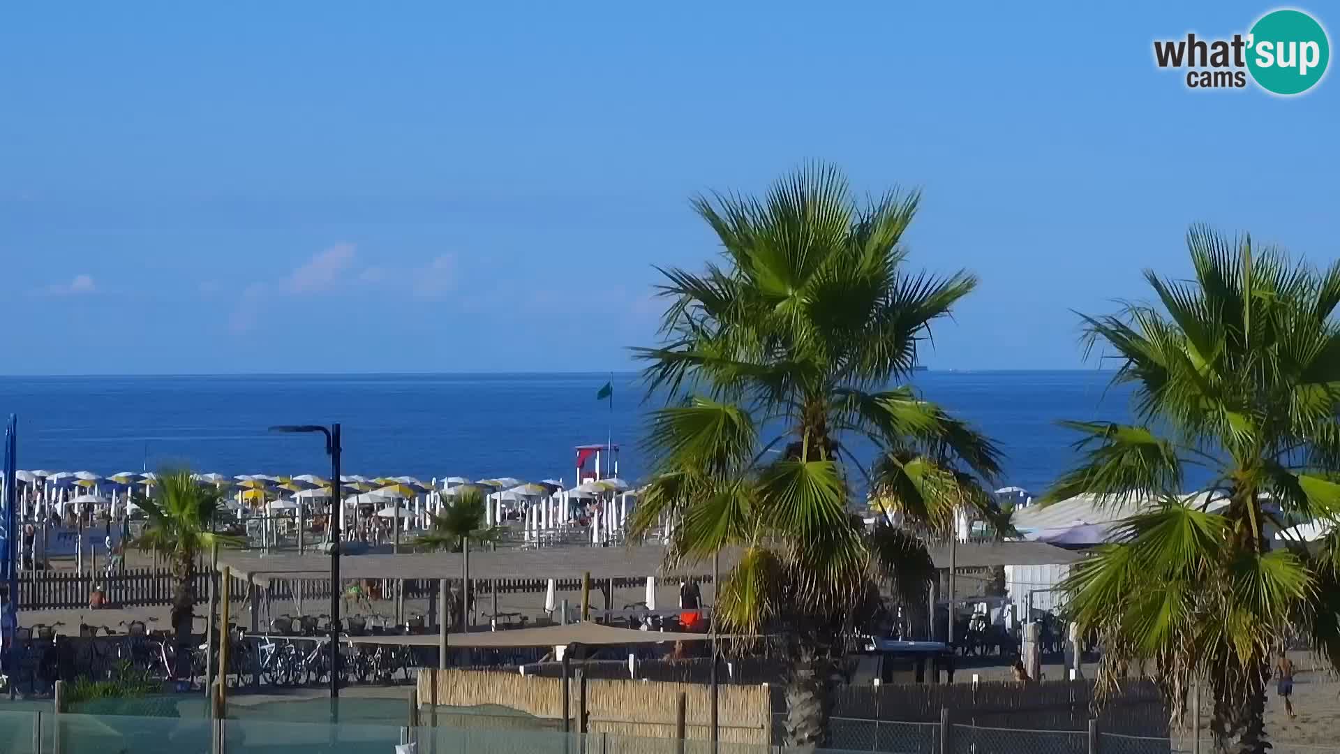 Plaza kod Rosapineta sud