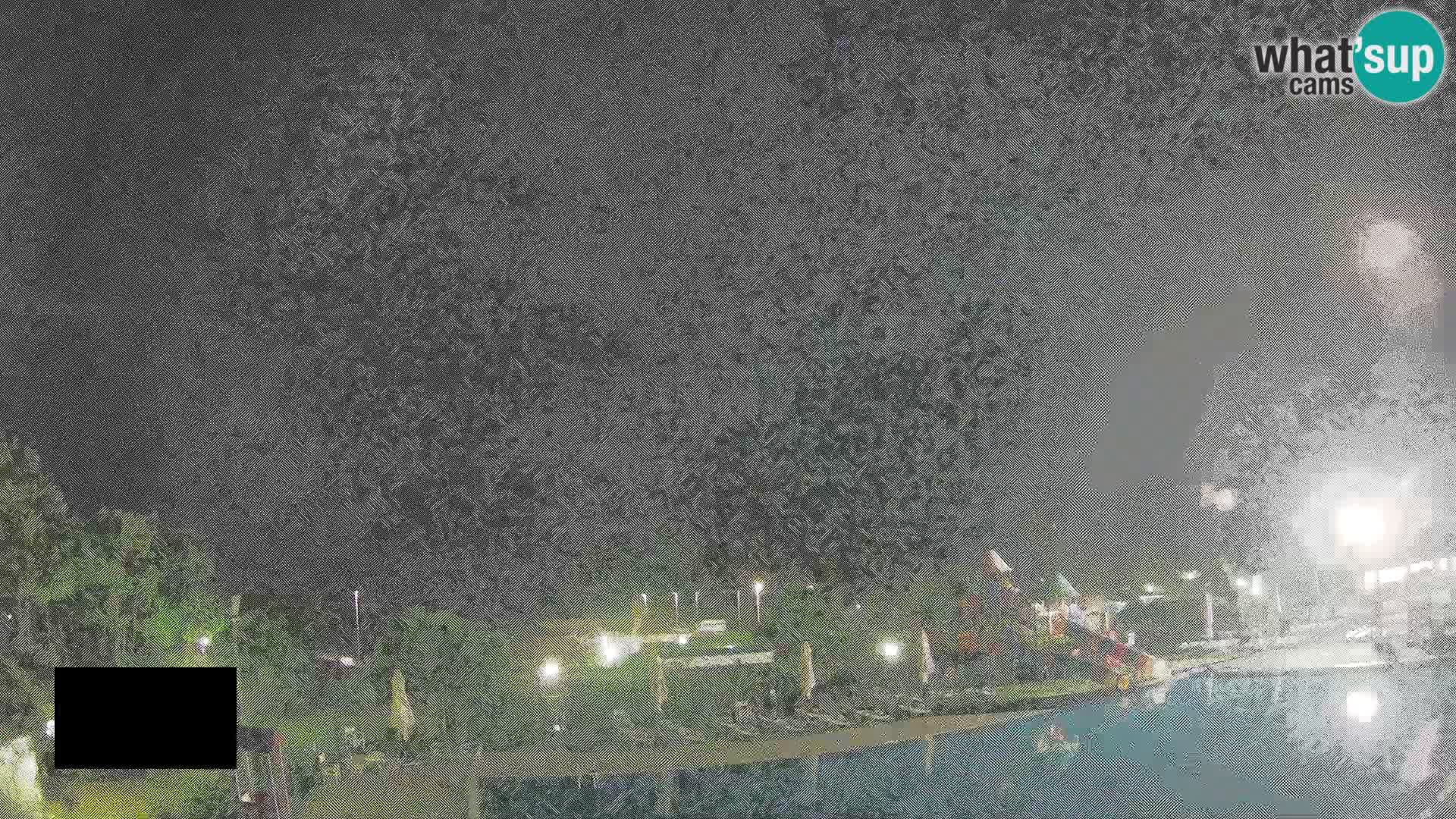 Camping Vittoria webcam en vivo Rosolina mare
