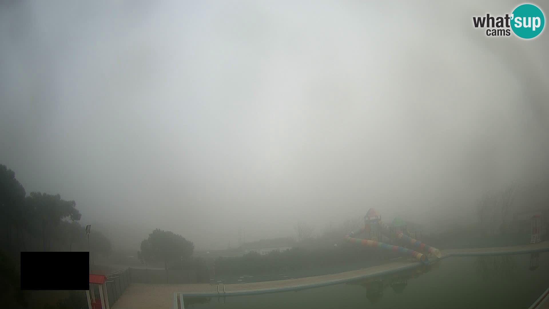 Camping Vittoria webcam en vivo Rosolina mare