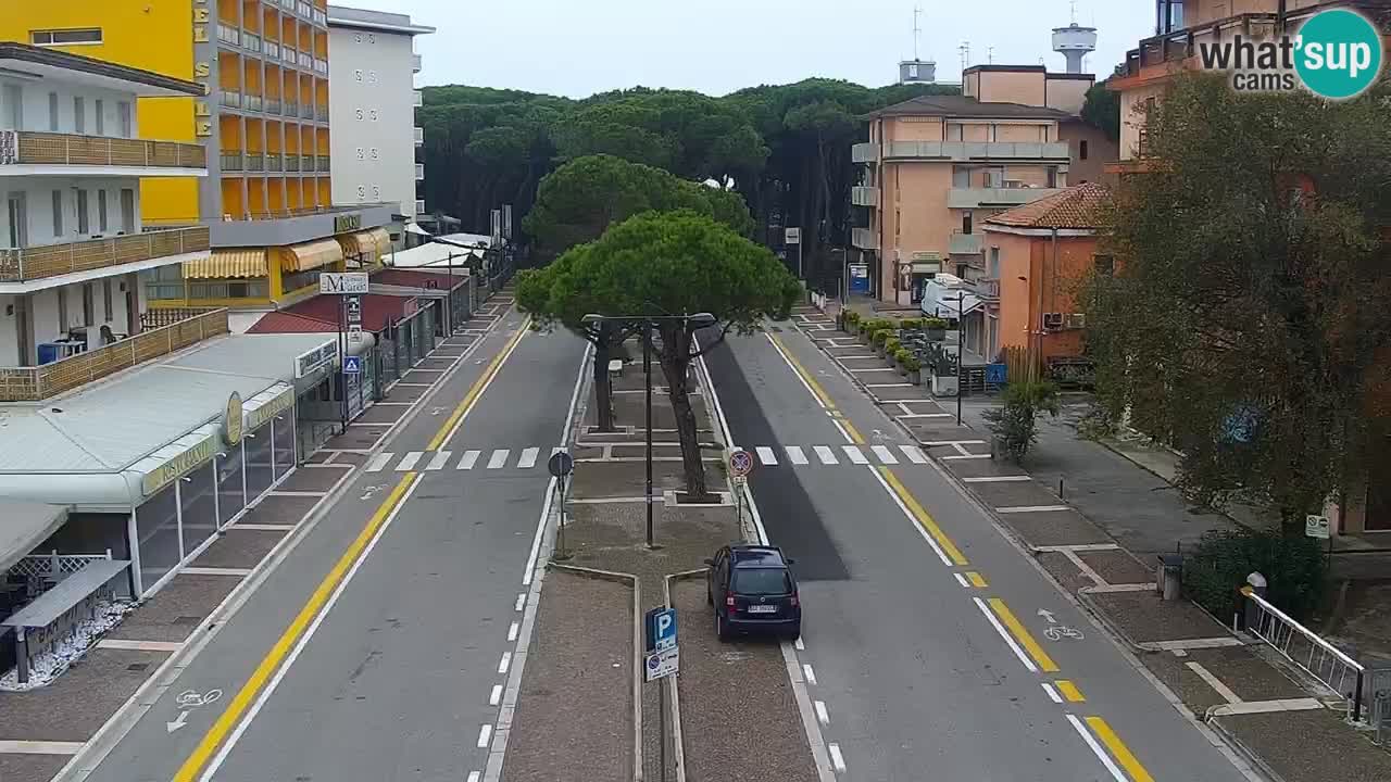 Livecam Rosolina mare webcam – Centro citta