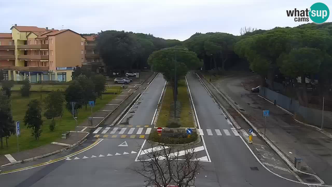 Webcam Rosolina mare Stadtzentrum