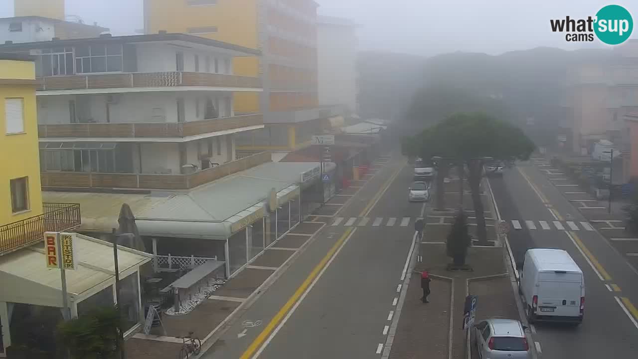 Livecam Rosolina mare webcam – Centro citta