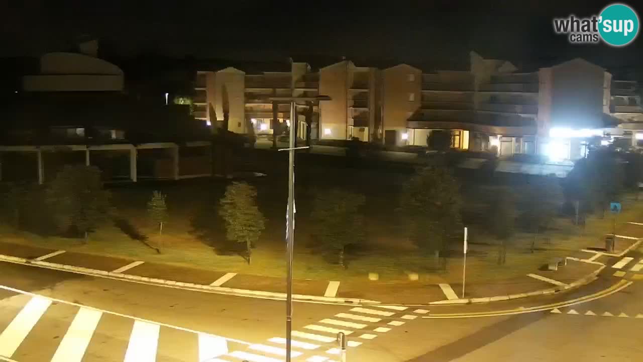 Livecam Rosolina mare