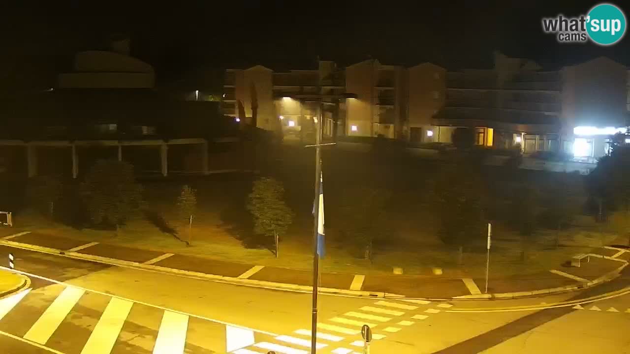 Livecam Rosolina mare webcam – Centro citta